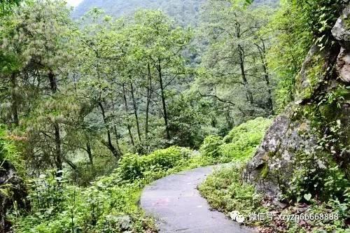 【民族团结进步】中华文明，如何在新时代焕发新光彩