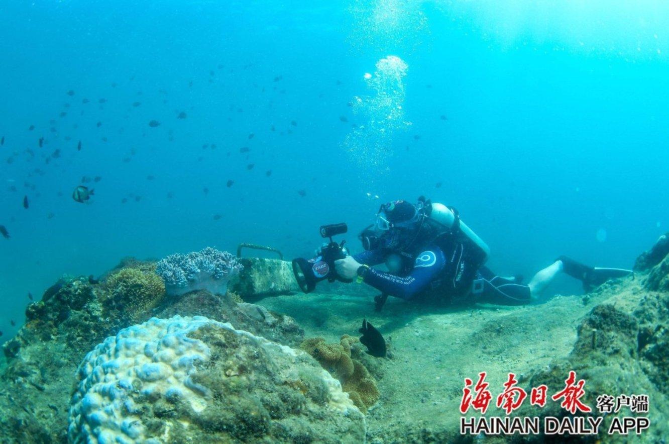 北京今年最赚钱的行业是什么?游戏画面