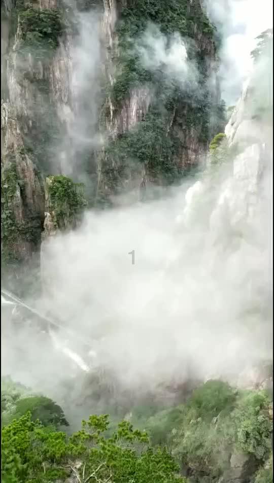 拯救昆虫群